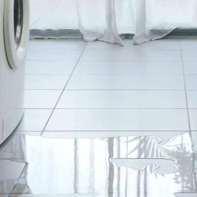 Appliance Leak Cleanup in Clawson, MI