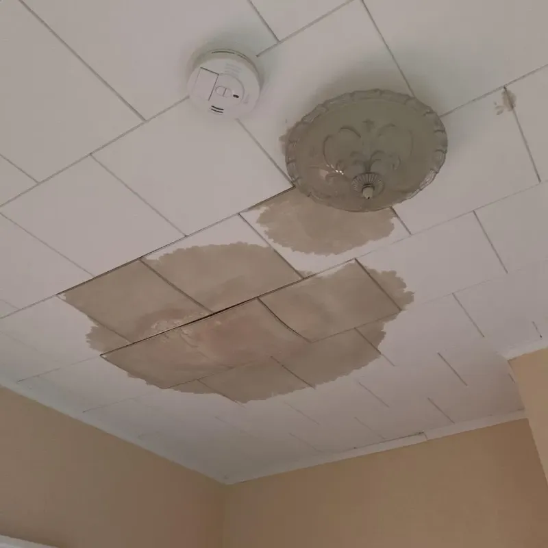 Ceiling Water Damage Repair in Clawson, MI
