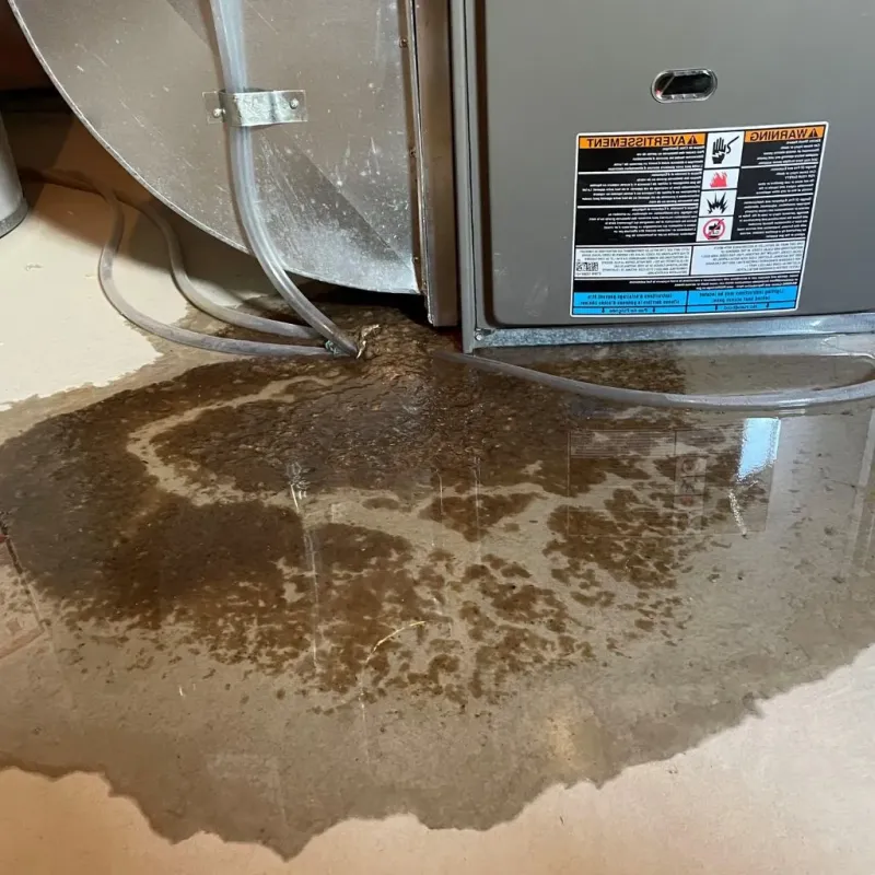 Pipe Burst and Leak Restoration in Clawson, MI